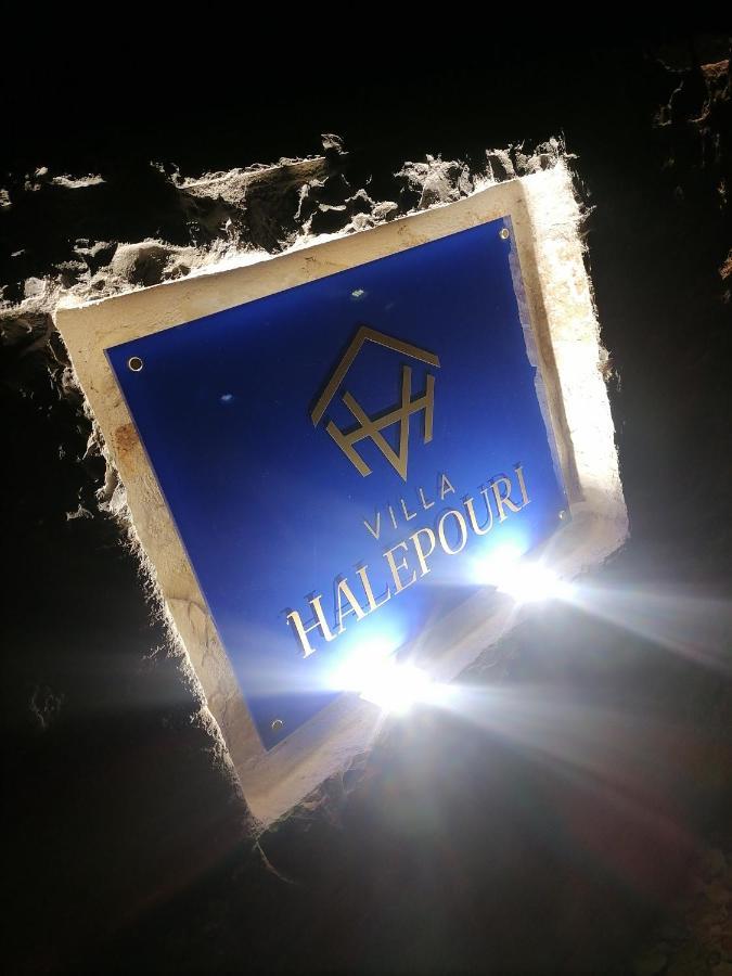 Villa Halepouri 干尼亞 外观 照片